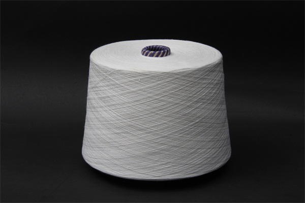 呼伦贝尔生活中的安全卫士：反光线和防火线